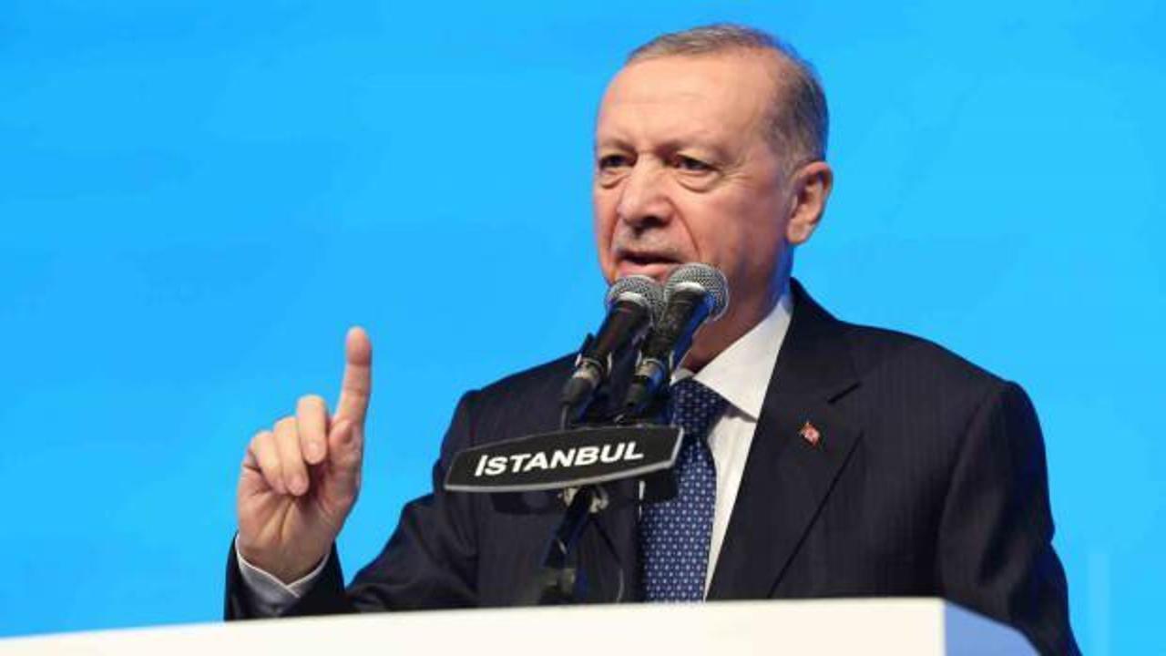 Erdoğan'ın 
