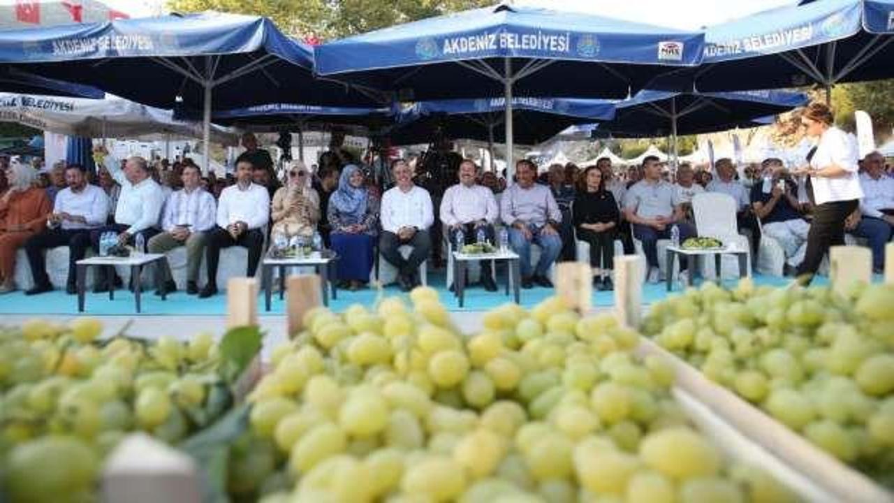 'Esenli Üzüm Şenliği' binlerce kişinin katılımıyla gerçekleşti