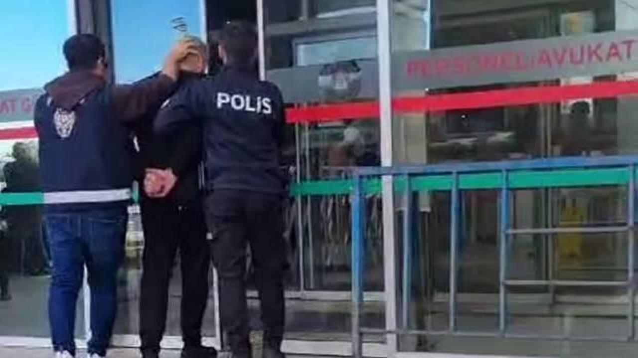 Fatih'te sokak kedisini çantasına koyarak götüren zanlı tutuklandı