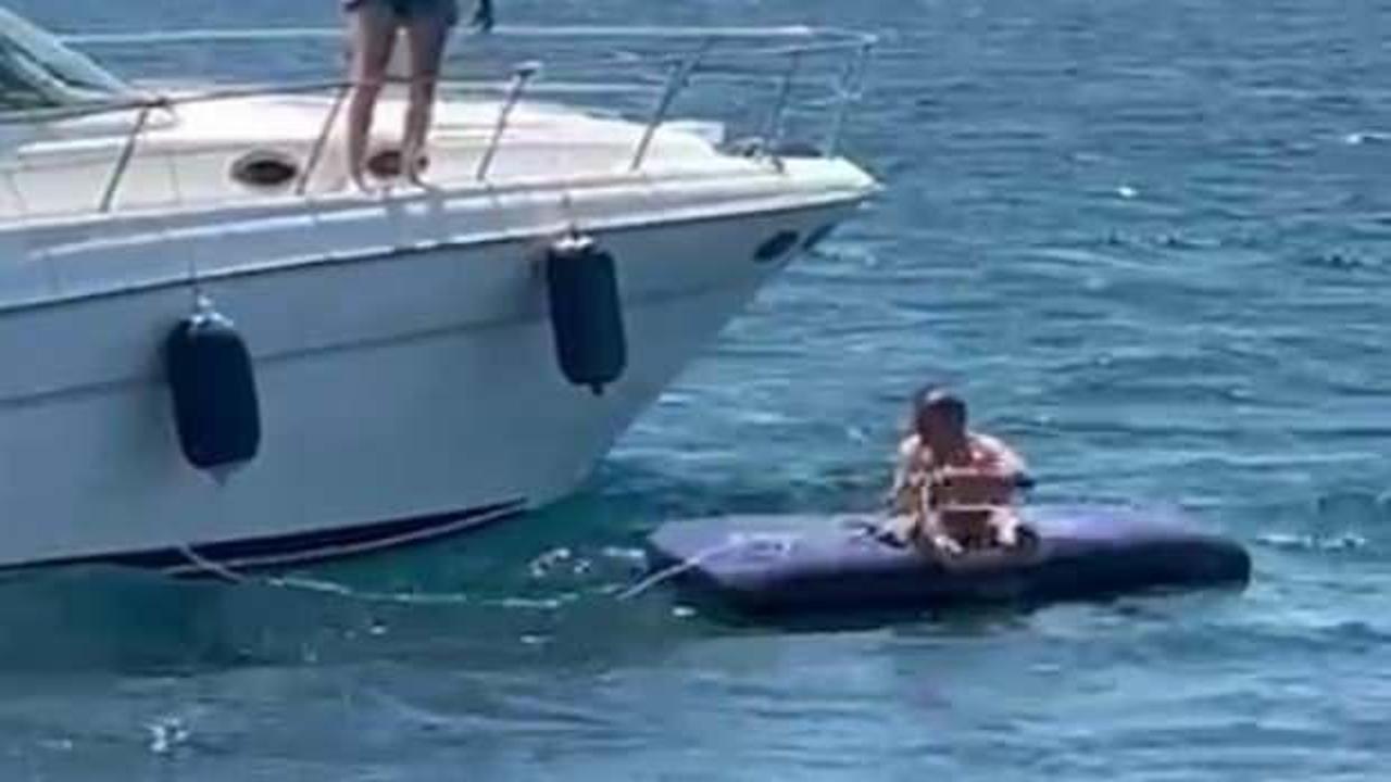 Fıkra gibi olay! Deniz yatağında açıkta kalınca kilometrelerce sürüklendi