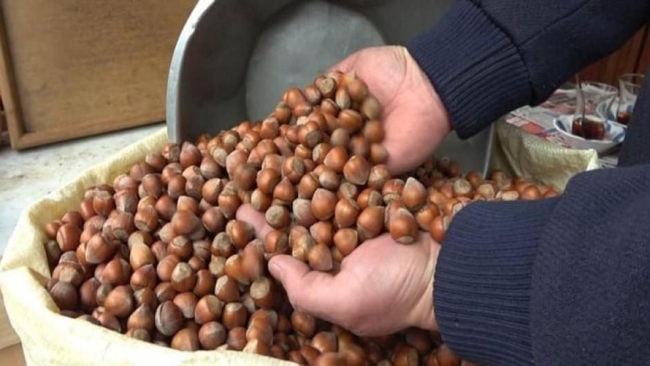Fındık ihracatı 1,4 milyar doları aştı