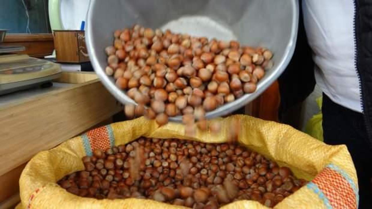 Fındık serbest piyasada 125, Tarım Kredi'de 140, raflarda ise 500 lira