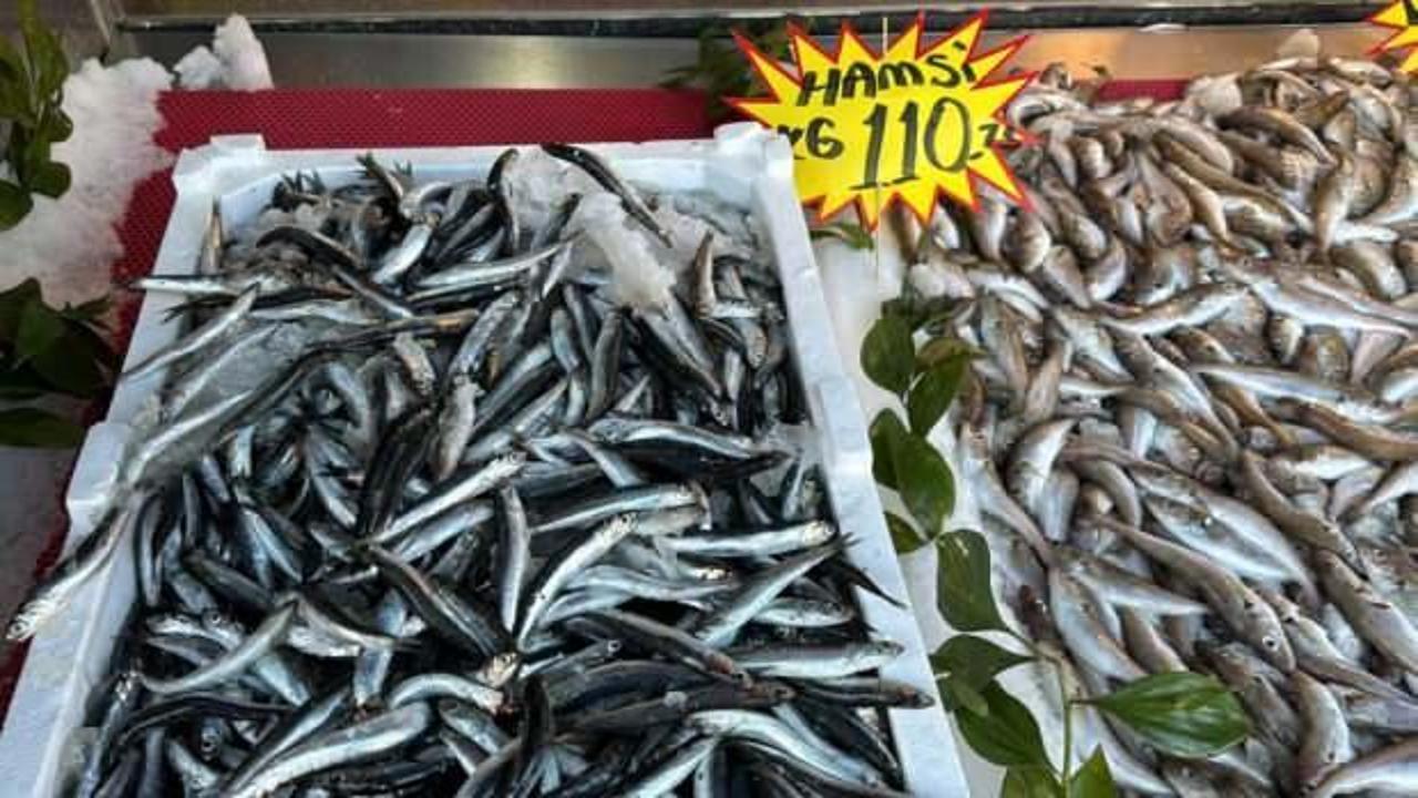 Fırtınanın ardından hamsi 110 liraya yükseldi