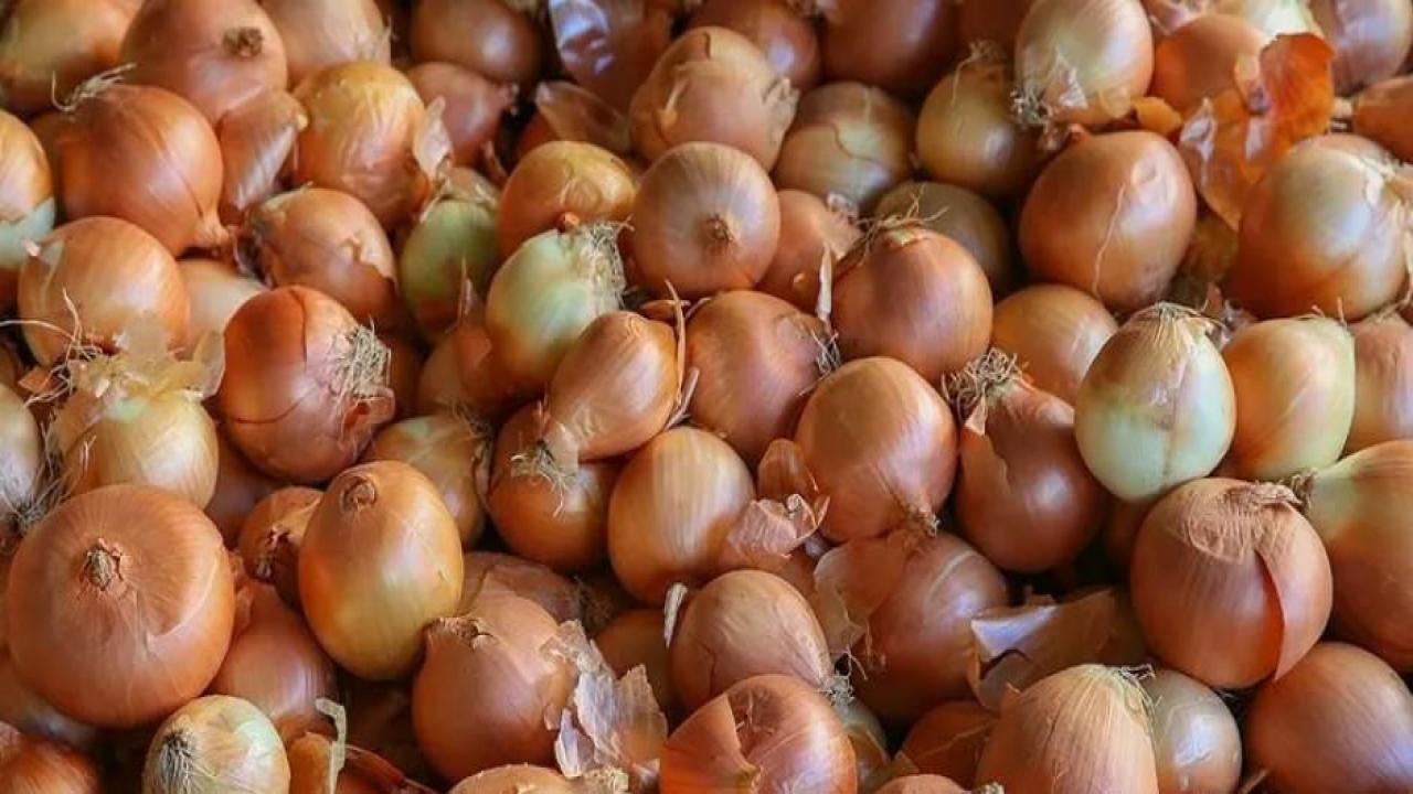 Fiyatı muzu geçen soğan için yeni haber