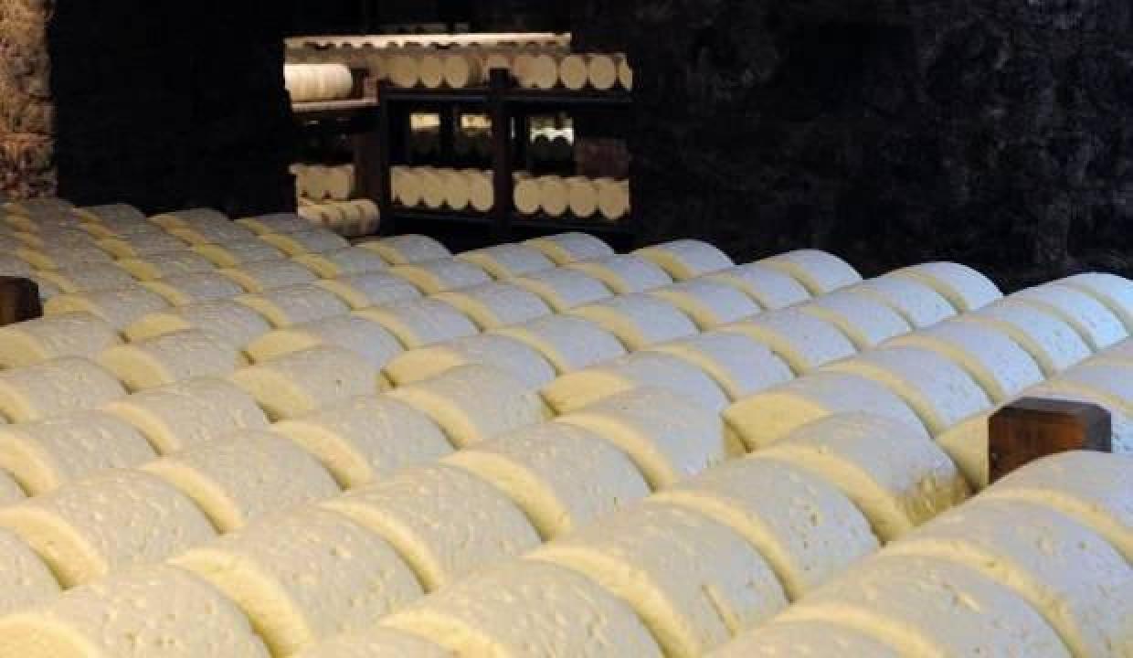 Fransa’da pizza ve çikolatadan sonra peynire de bakteri bulaştı