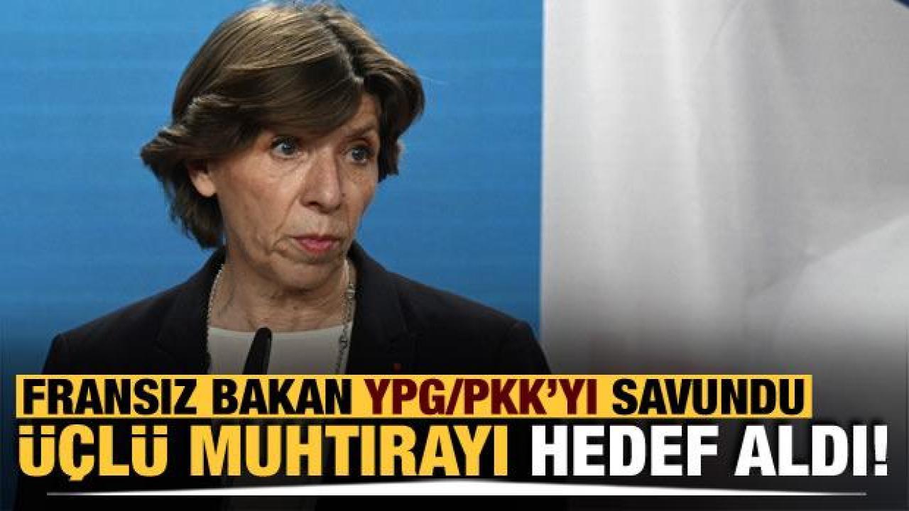 Fransız Bakan PKK'yı savunup üçlü muhtırayı hedef aldı!