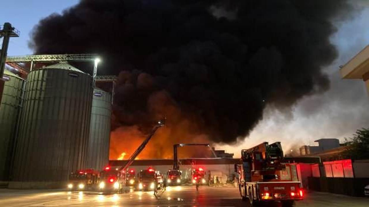 Gaziantep'te halı fabrikasında büyük yangın