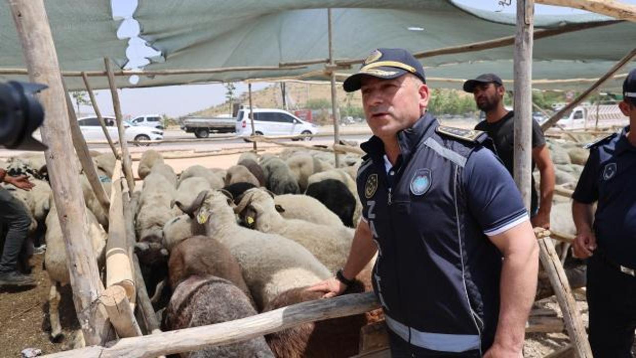 Gaziantep'te Kurban Bayramı öncesi sıkı denetimler sürüyor
