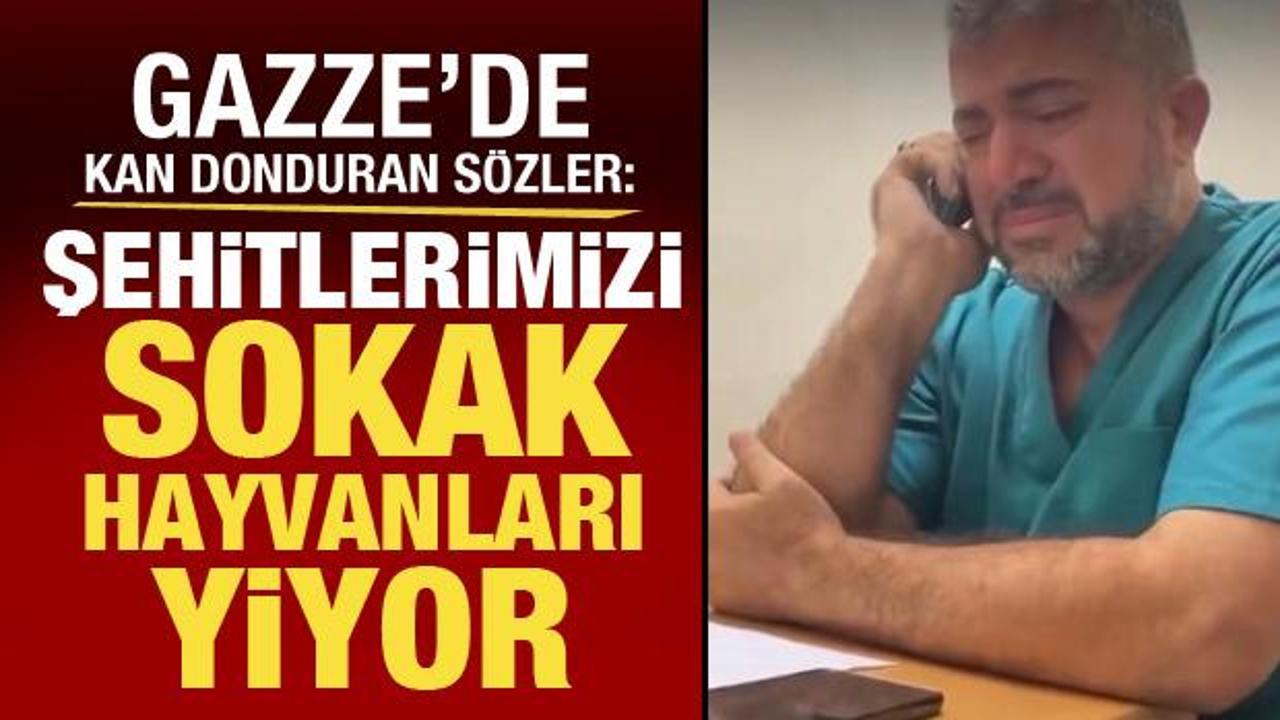 Gazze Sağlık Bakanlığı Genel Müdürü: Şehitlerimizi sokak hayvanları yiyor