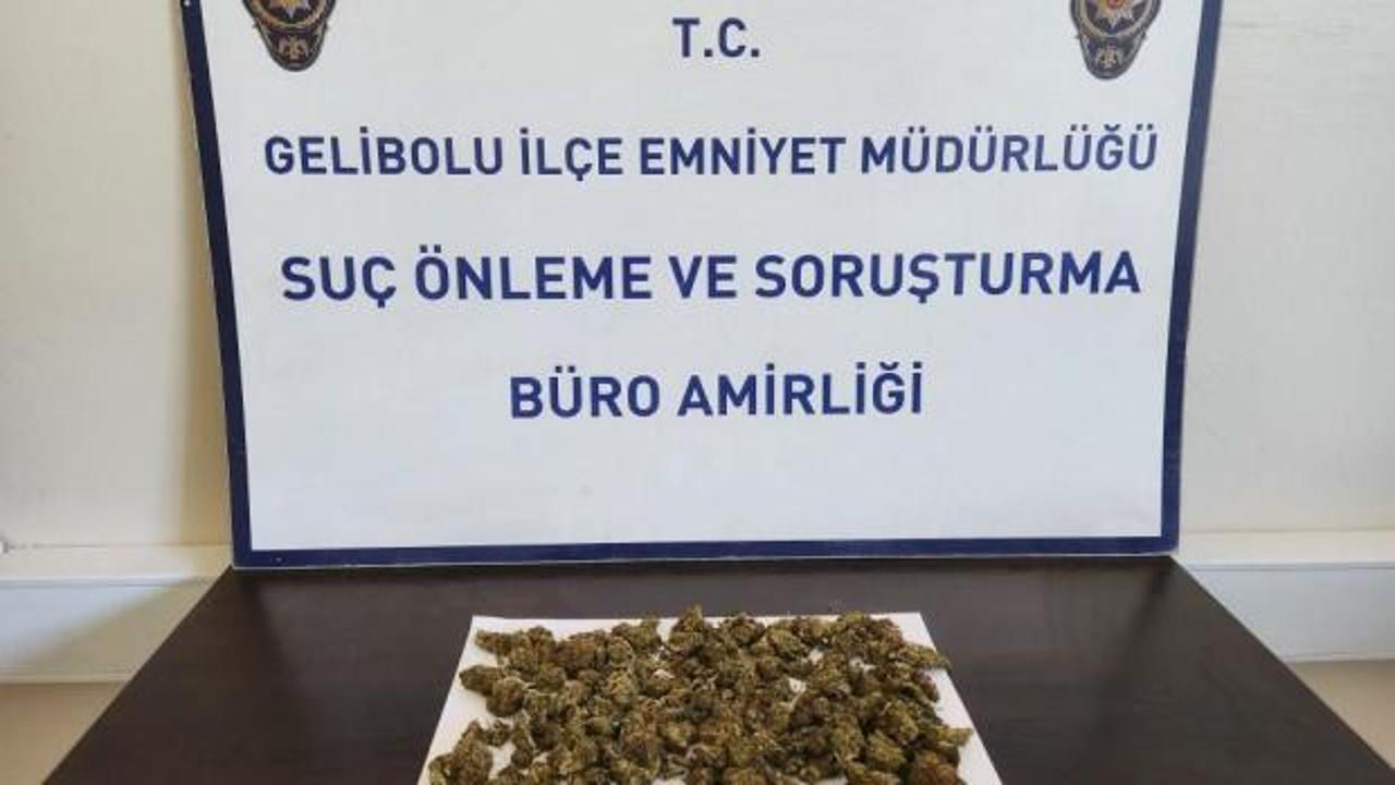 Gelibolu’da sırt çantasından 90 gram skunk çıktı: 2 gözaltı
