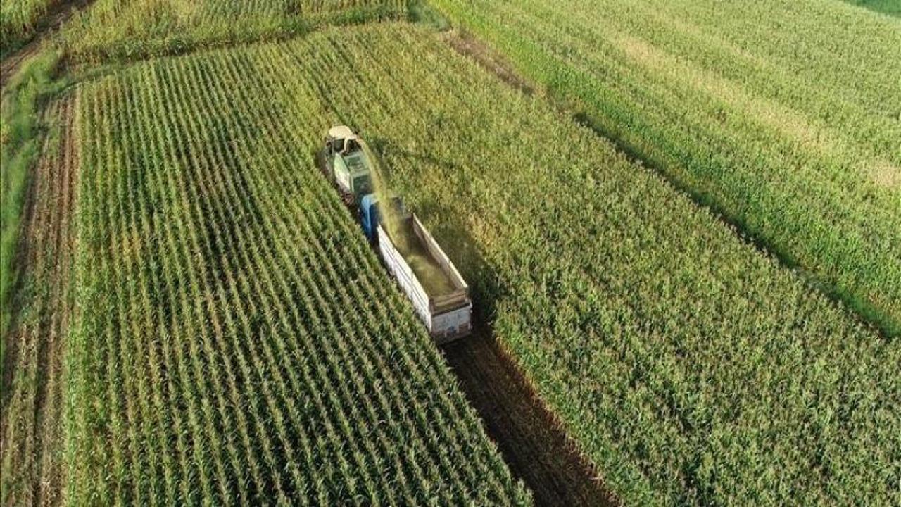 Gençlik ve Spor Bakanlığı, tarımla ilgilenen gençler için özel program başlatıyor