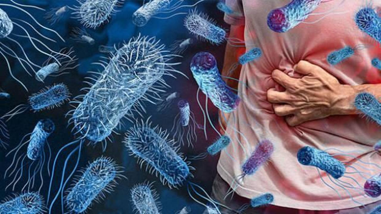 Gıda güvenliği alarmı: Listeria ve E. coli sağlığı tehdit ediyor!