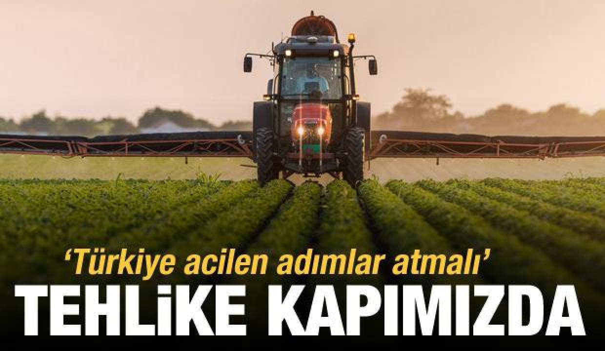 'Gıda savaşları başlıyor, Türkiye acilen adımlar atmalı'