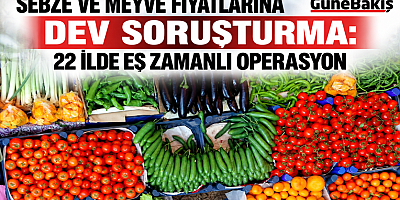 GIDADA FİYAT MANİPÜLASYONUNA 22 İLDE OPERASYON