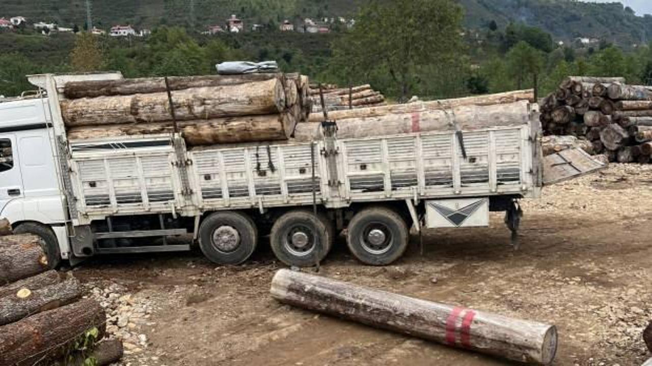 Giresun'da feci kaza: Üzerine tomruk düşen kişi öldü!