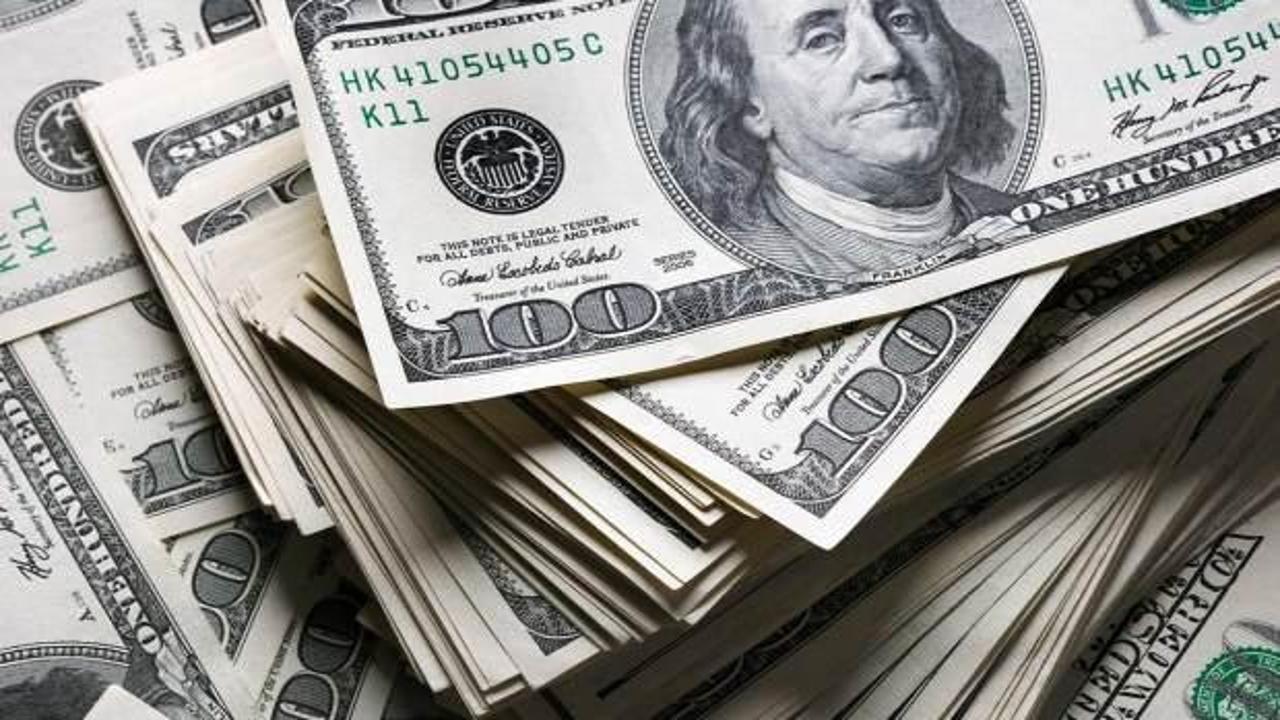 Google'da dolar hatası! 4 TL birden düştü