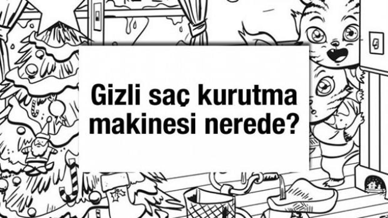 Gözlem yeteneğine güvenenlere özel: Sadece 5 saniyeniz var! Gizli saç kurutma makinesi nerede?