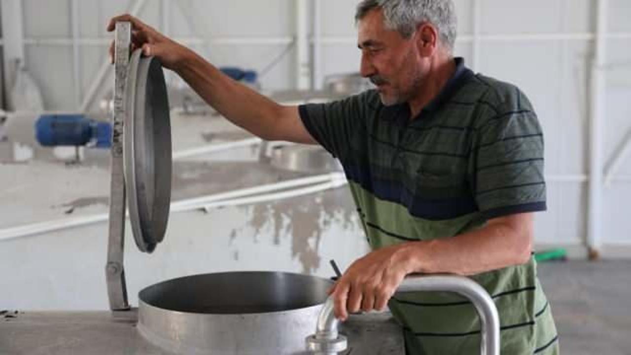 Günlük 40 ton süt toplanan merkez, bin 200 aileye ekmek kapısı oldu