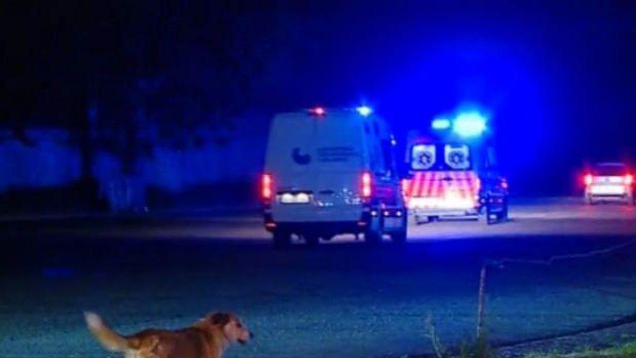 Gürcistan’ın eski Cumhurbaşkanı Saakaşvili cezaevinden hastaneye sevk edildi