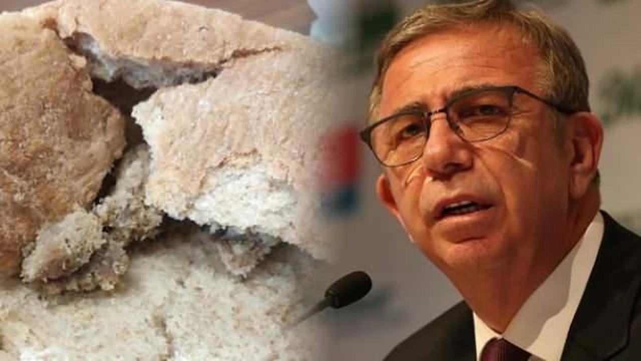 Halk Ekmek'te bakteri skandalı! Durum çok vahim