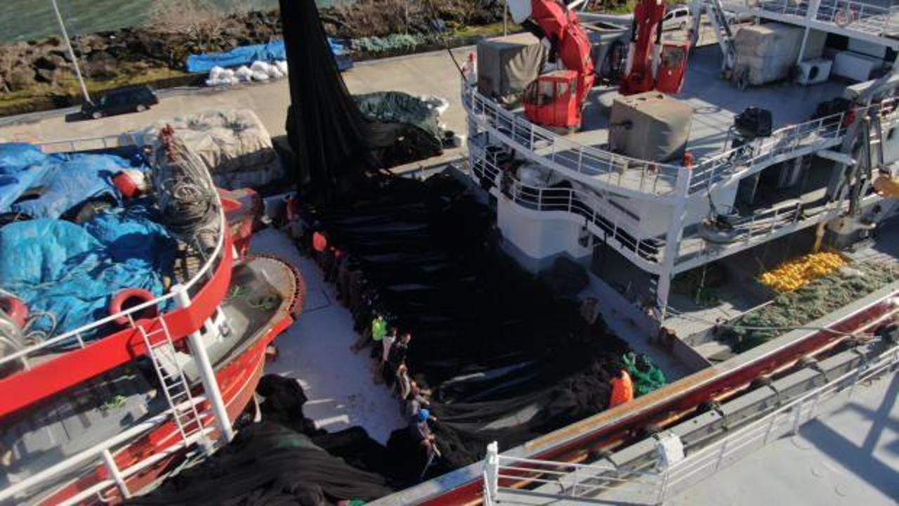 Hamsi bitti, tekneler erken 