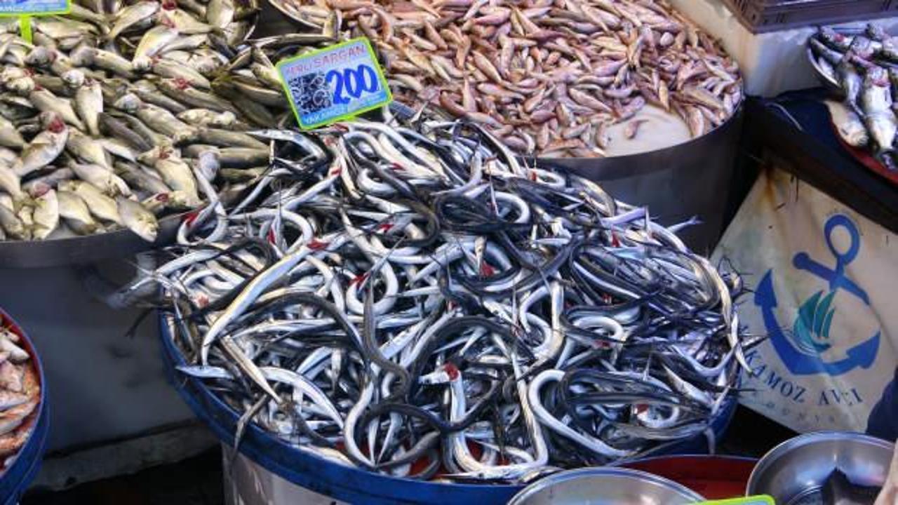 Hamsi fiyatları düştü, tezgahlar şenlendi