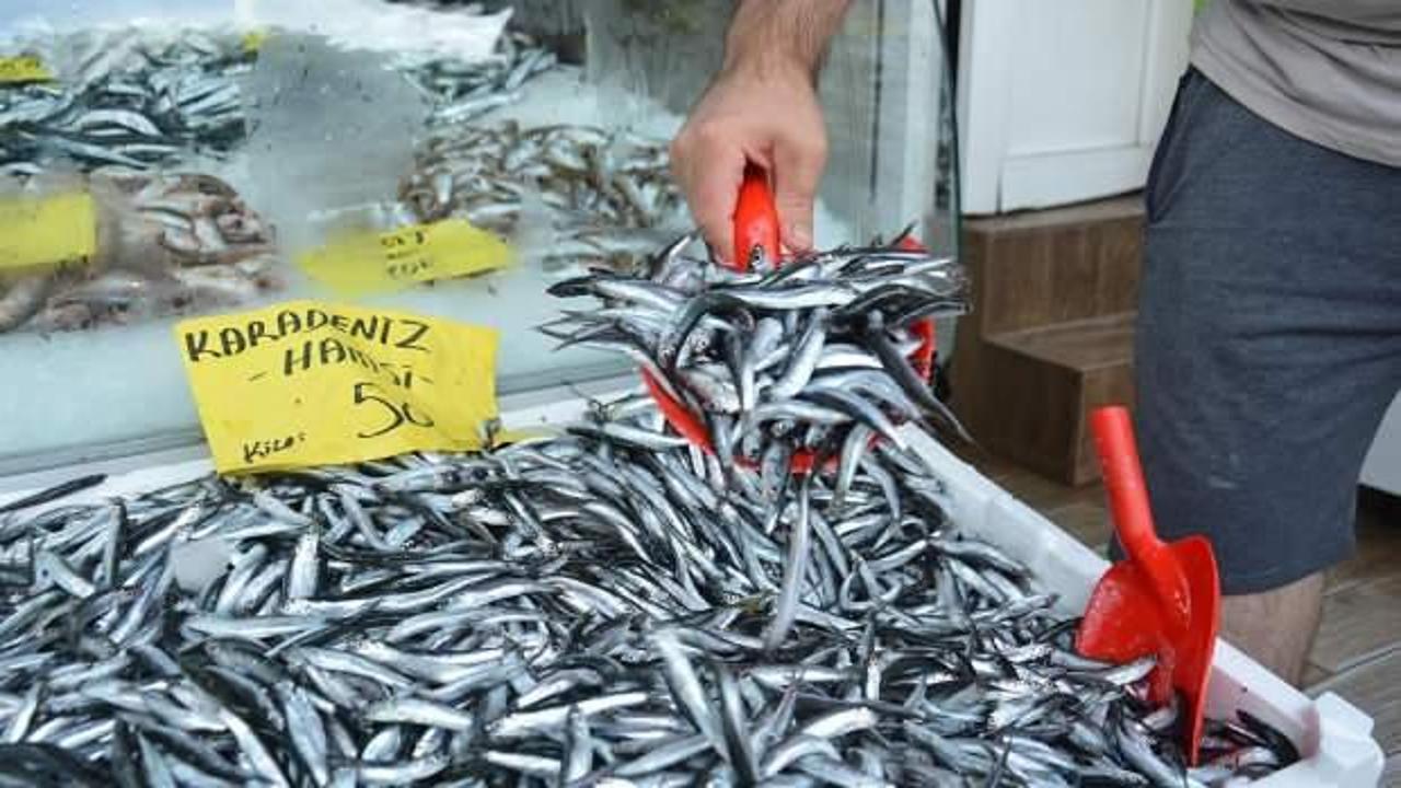 Hamsinin kilogramı 50 liraya düştü