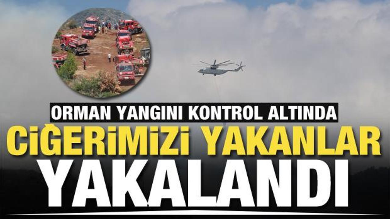 Hatay'da ciğerimizi yaktılar! Valilik orman yangınını çıkartanların yakalandığını açıkladı