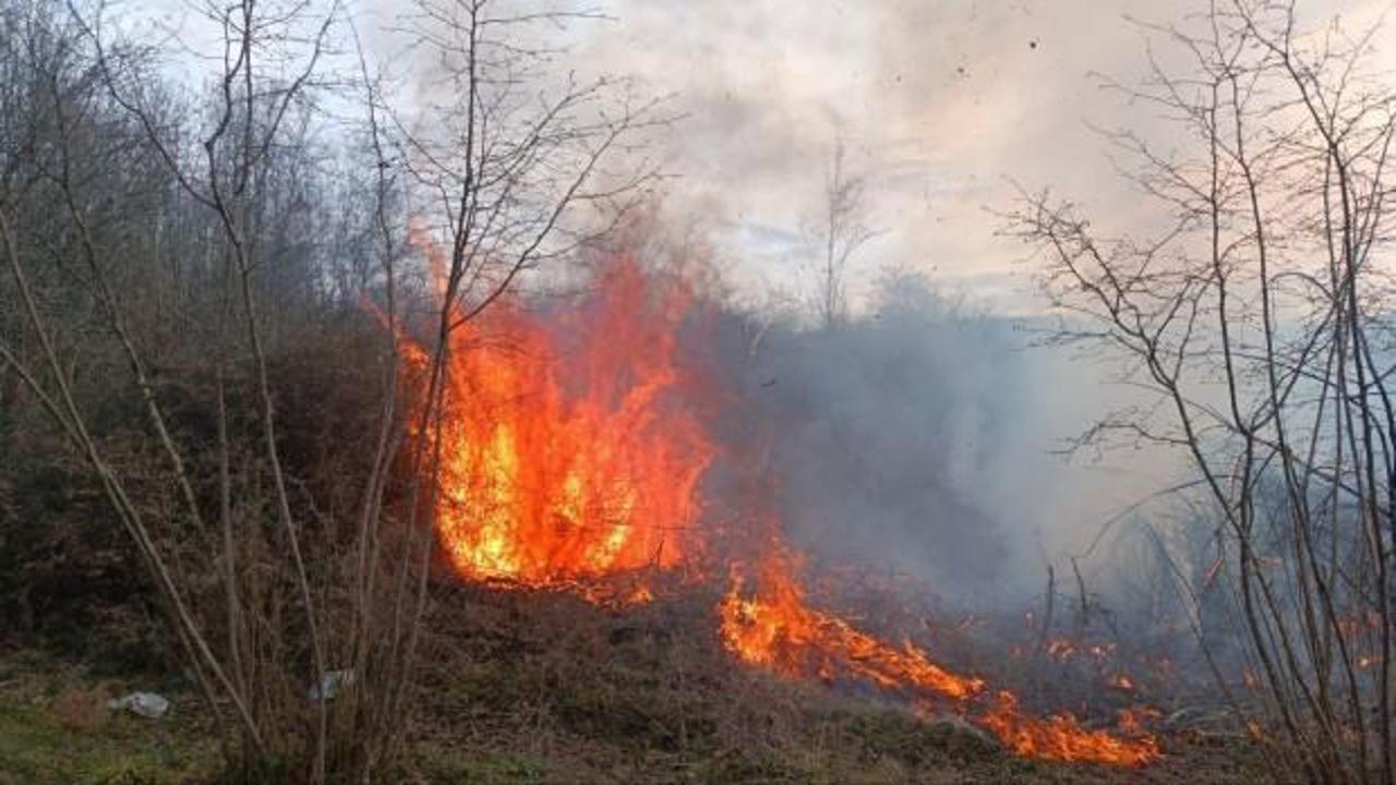Havalar ısındı, yangınlar başladı