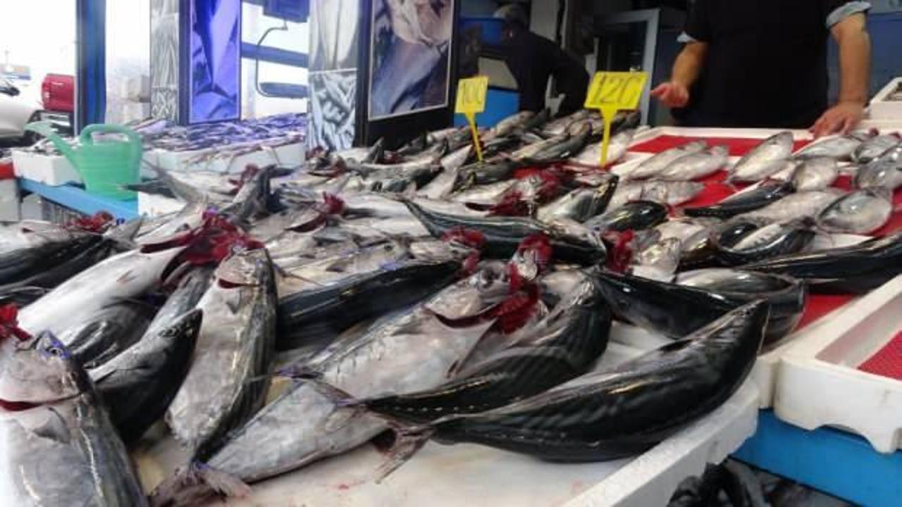 Havalar serinledi, palamuda ilgi arttı!