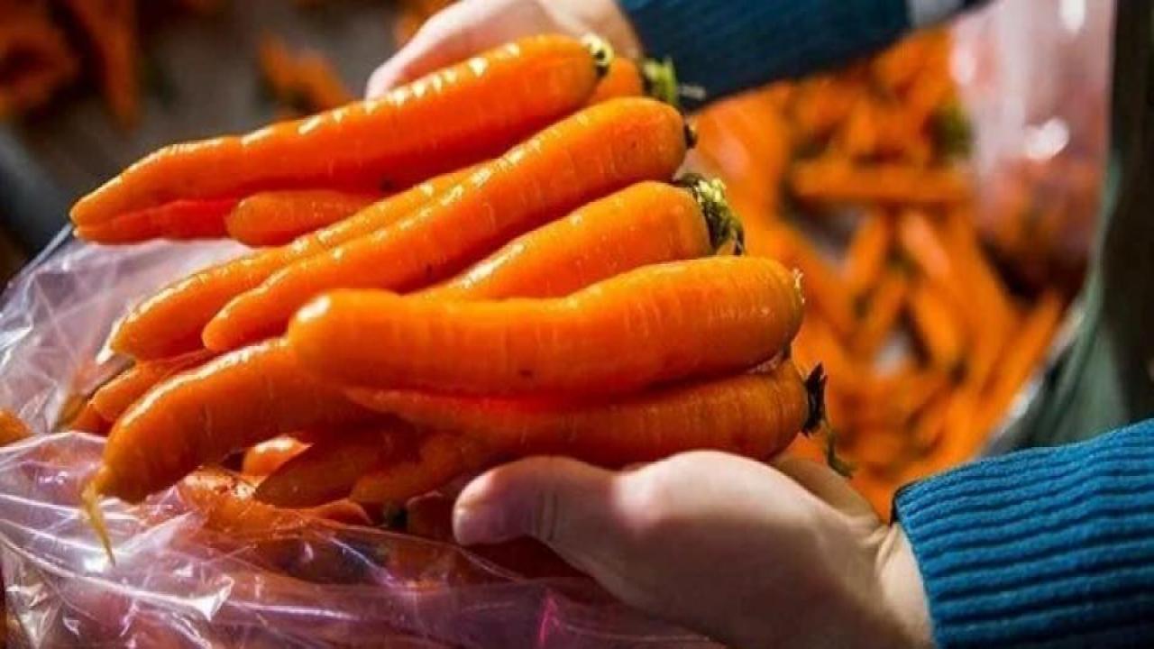 Havucun kilosu 50 liraya yükseldi