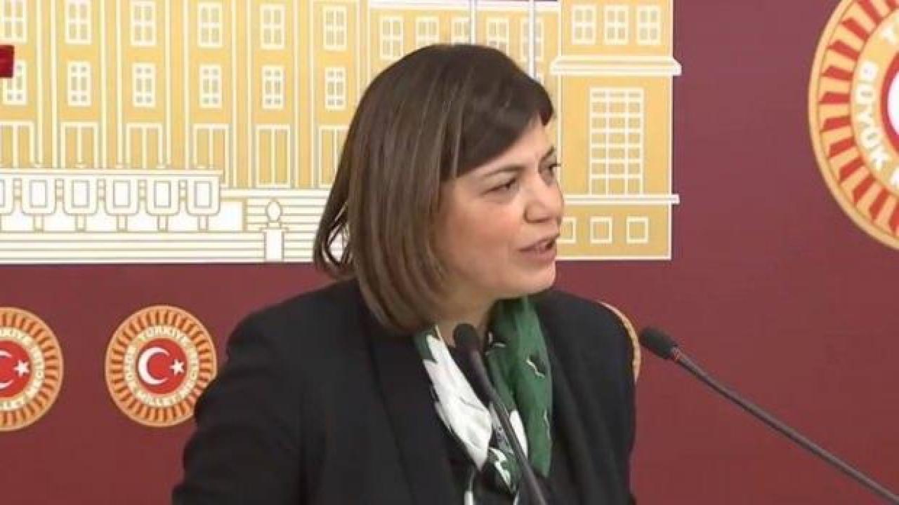 HDP'li Beştaş'tan skandal açıklama: FETÖ'ye cemaat demeyi tercih ediyoruz!