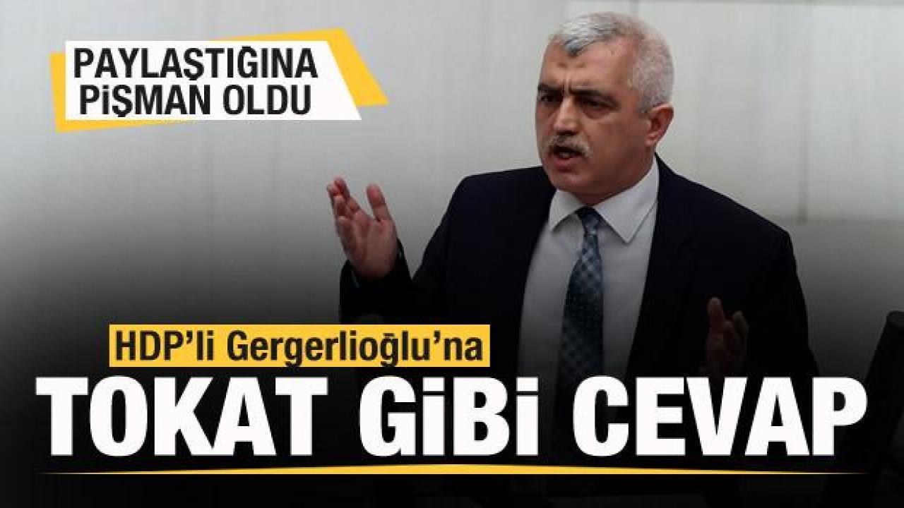 HDP’li Gergerlioğlu’na tokat gibi cevap! Paylaştığına pişman oldu