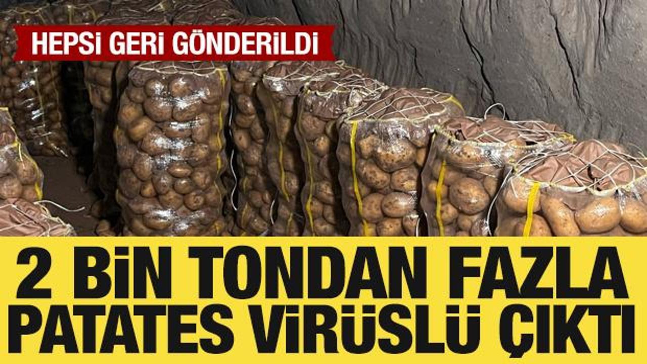 Hepsi geri gönderildi: Yurt dışından gelen 2 bin tondan fazla patates virüslü çıktı