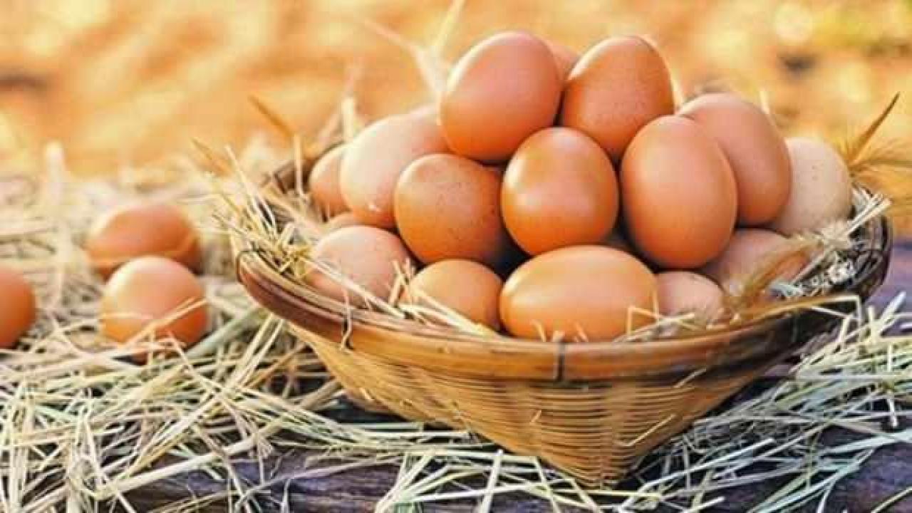 Her gün yumurta yenmeli mi? Yumurtanın faydaları ve zararları…