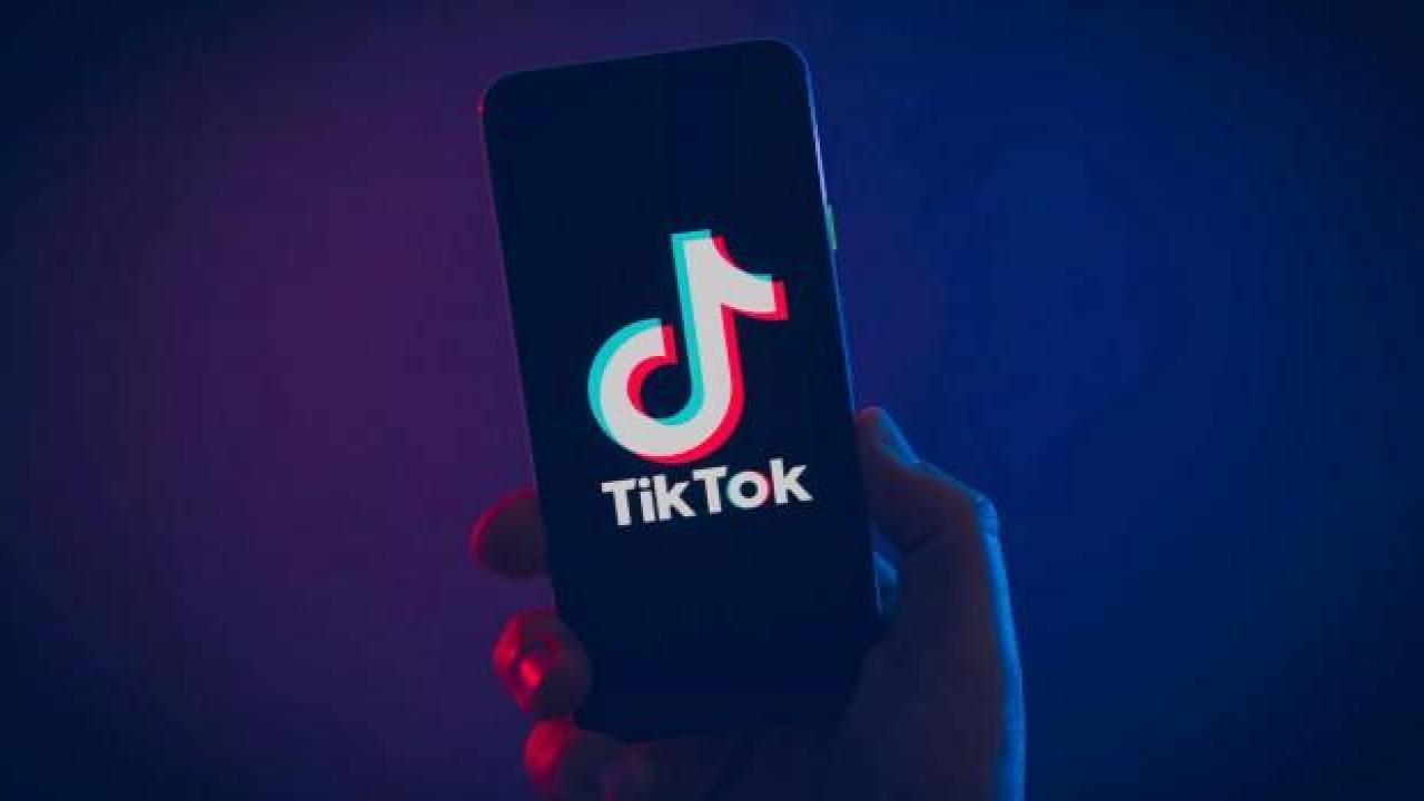 Hollanda’dan TikTok hamlesi: Derhal silin...