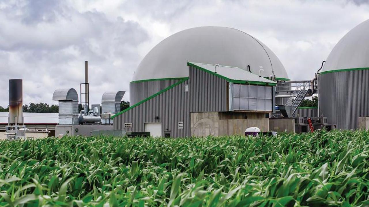 Holllanda devinden 1 milyar Euro'luk yatırım: Türkiye’de biyoyakıt üretebiliriz