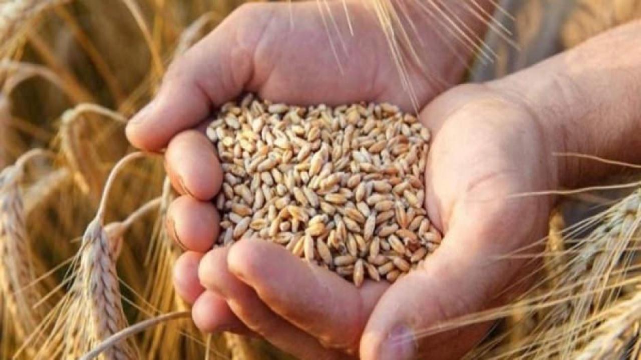 Hububat alım detayları belli oldu