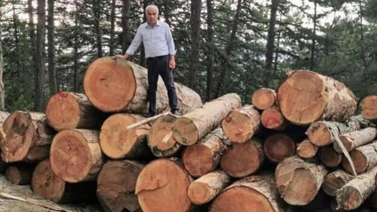 İbrahim Yumaklı orman köylülerine yakacak müjdesi verdi