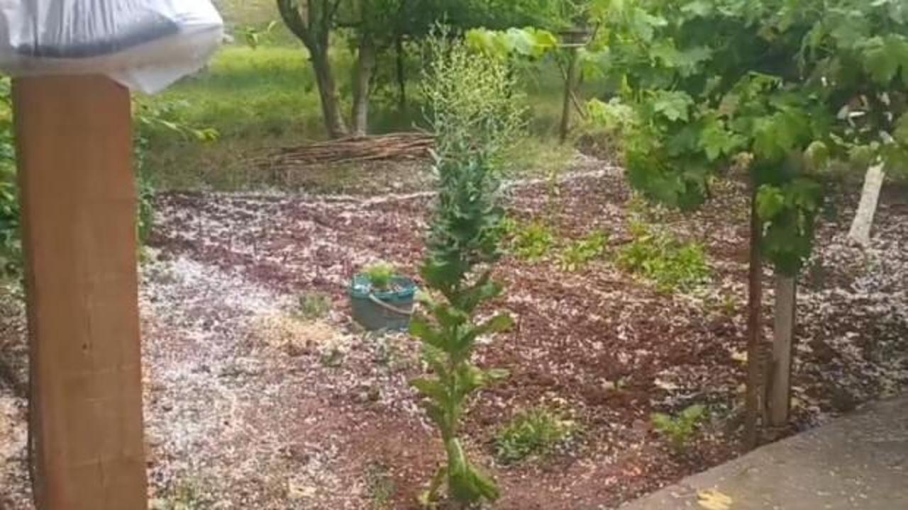Iğdır'da ani dolu yağışı tarım arazilerine zarar verdi