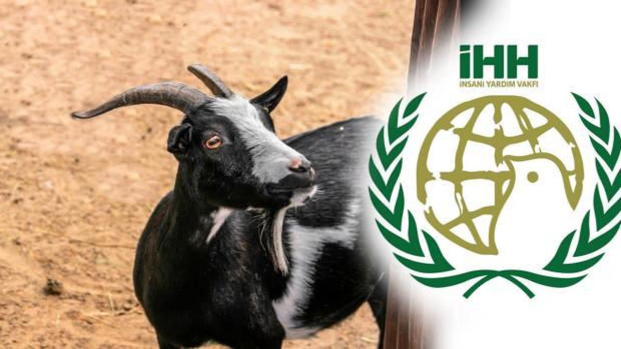 İHH kurban bağışı 2023 ne kadar? İHH kurban bağış fiyatları açıklandı!