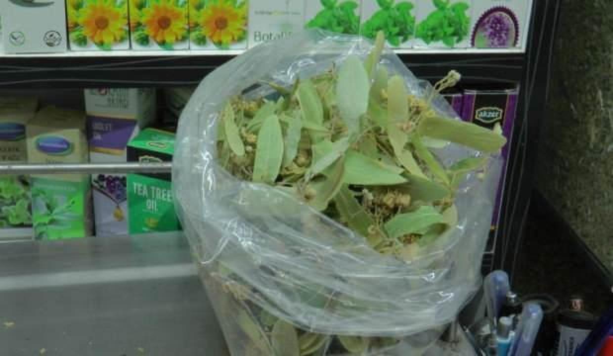 Ihlamurun kilosu 350 TL'den alıcı buluyor