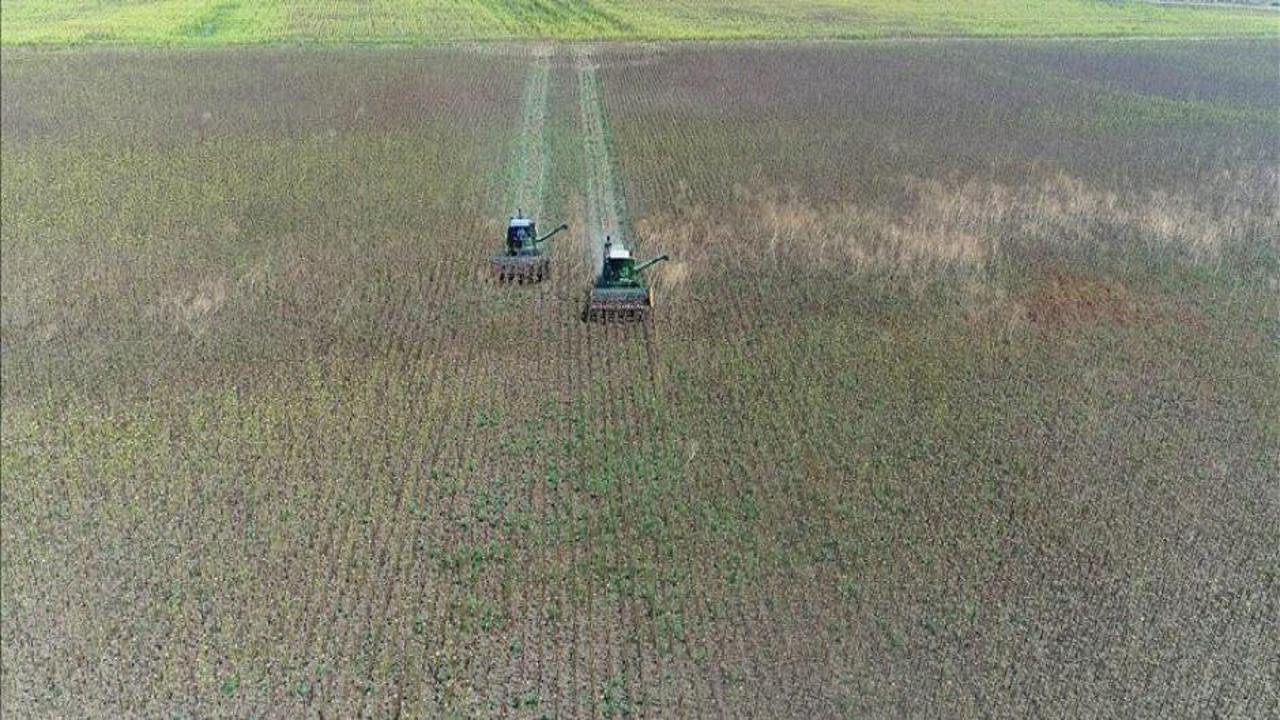 İki yıl üst üste işlenmeyen tarım arazileri kiraya verilecek