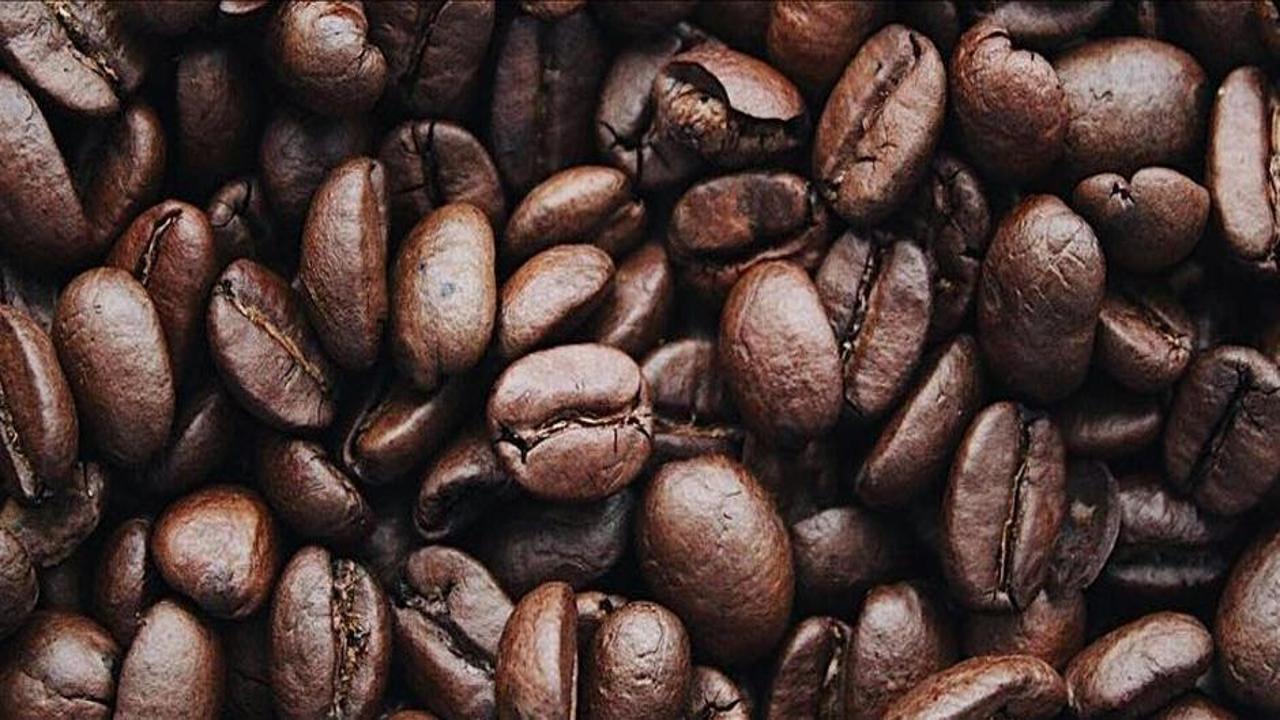 İklim değişikliği Türkiye'yi kahve üreticisi yapabilir