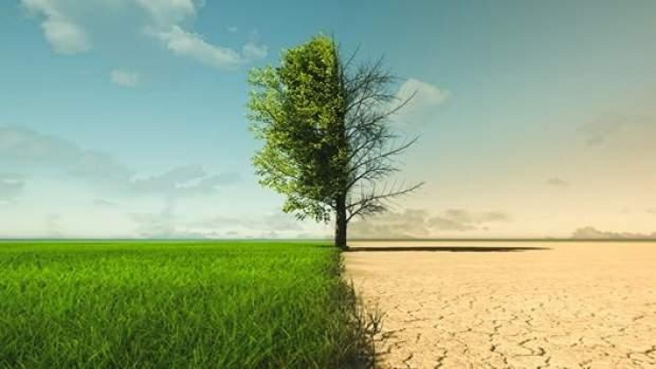 İklim krizi gıda sanayisini dönüştürüyor