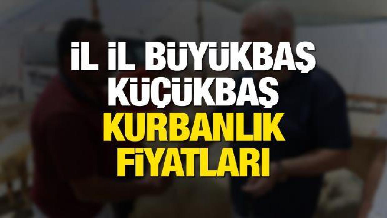 İl il kurbanlık fiyatları 2022: Büyükbaş, küçükbaş, yurtiçi ve yurtdışı vekalet kurbanlık ücretleri!