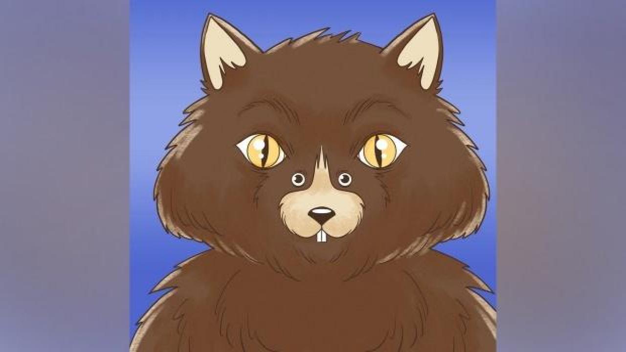 İlk kedi mi fare mi gördünüz? Kişilik testi ile baskın özelliğiniz ortaya çıkacak! Gerçekleri göreceğiniz kişilik testi