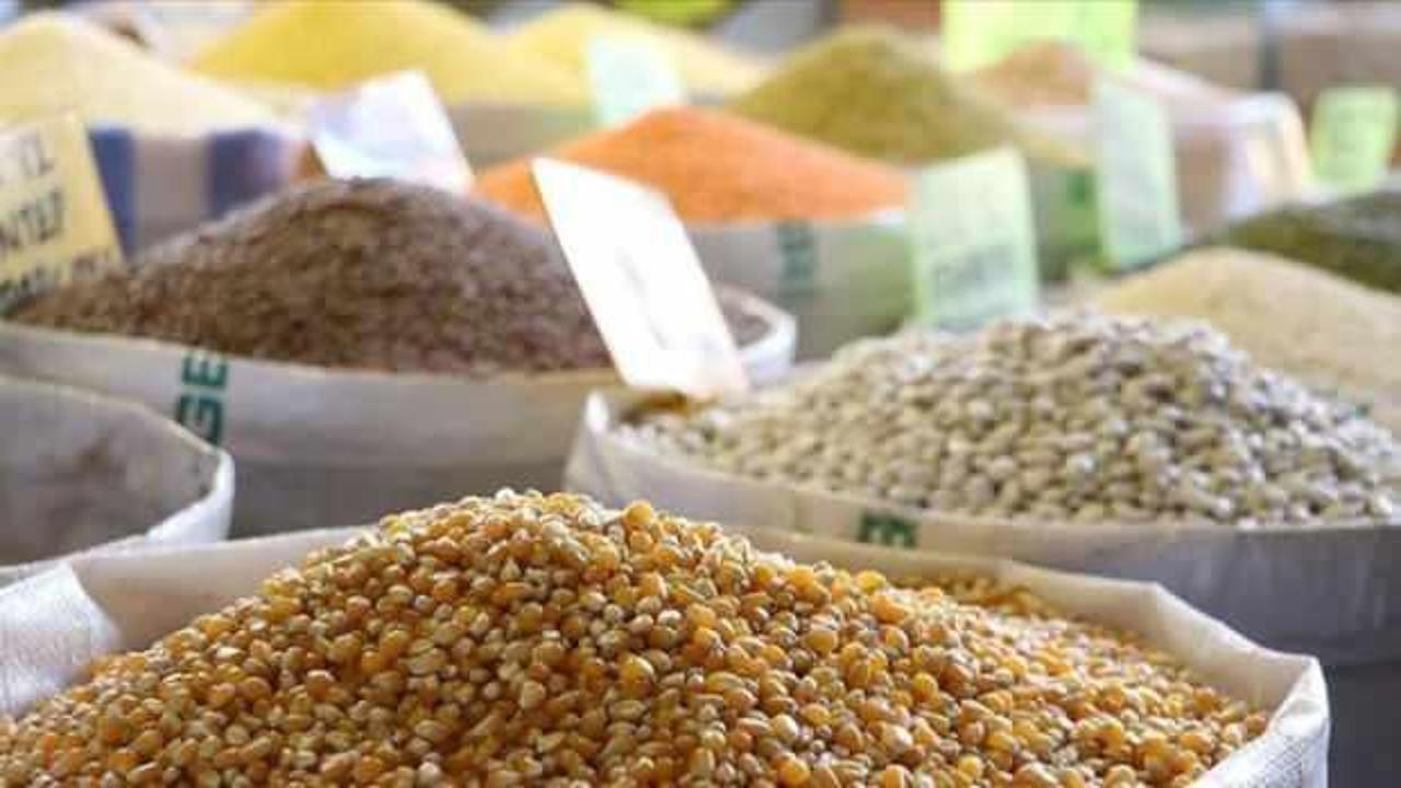 İlk yarıdaki hububat ihracatı 5 milyar doları aştı