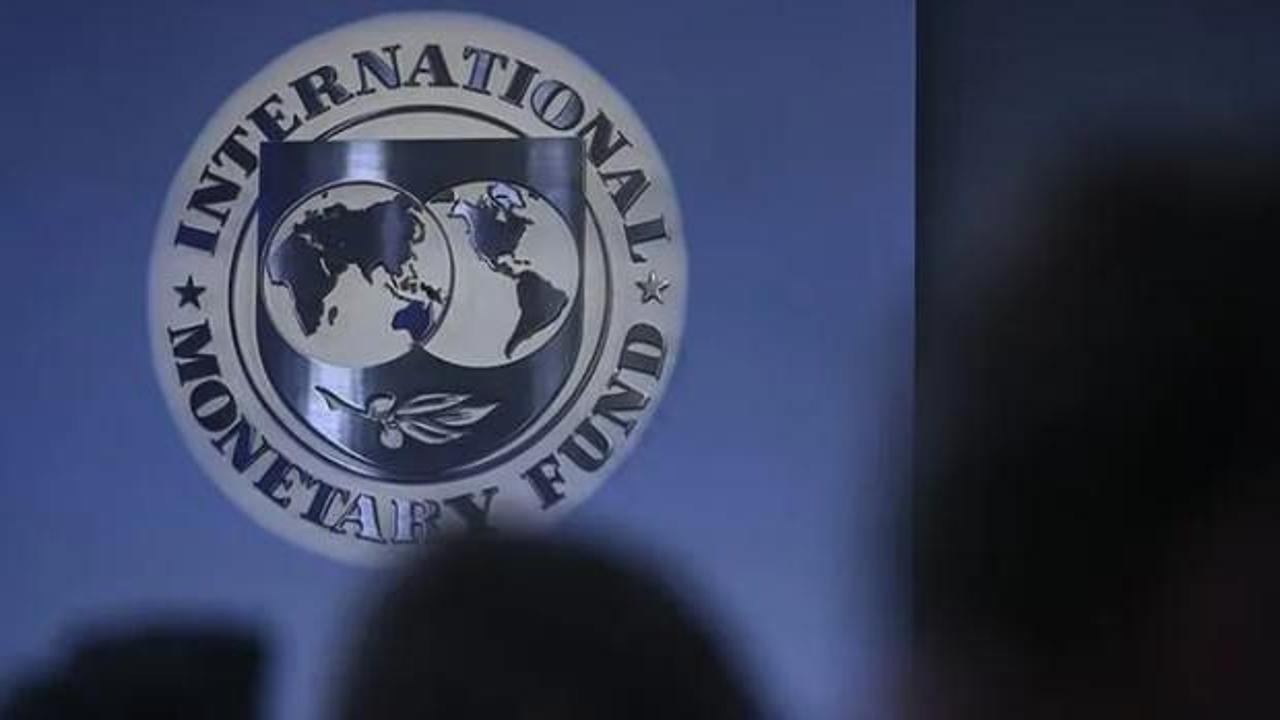 IMF'den Türk iktisatçıya görev! Kararlarda gizlilik esas