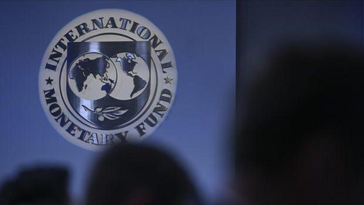 IMF'den Türkiye ekonomisine övgü